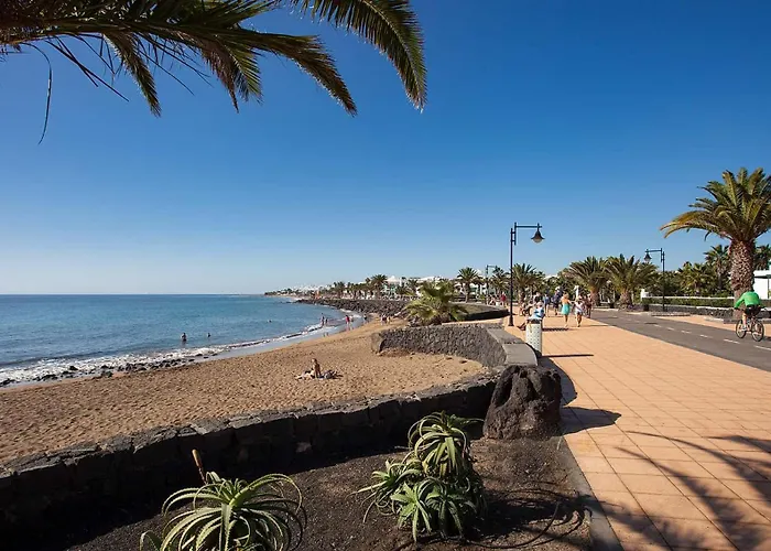Malva * Puerto del Carmen (Lanzarote)